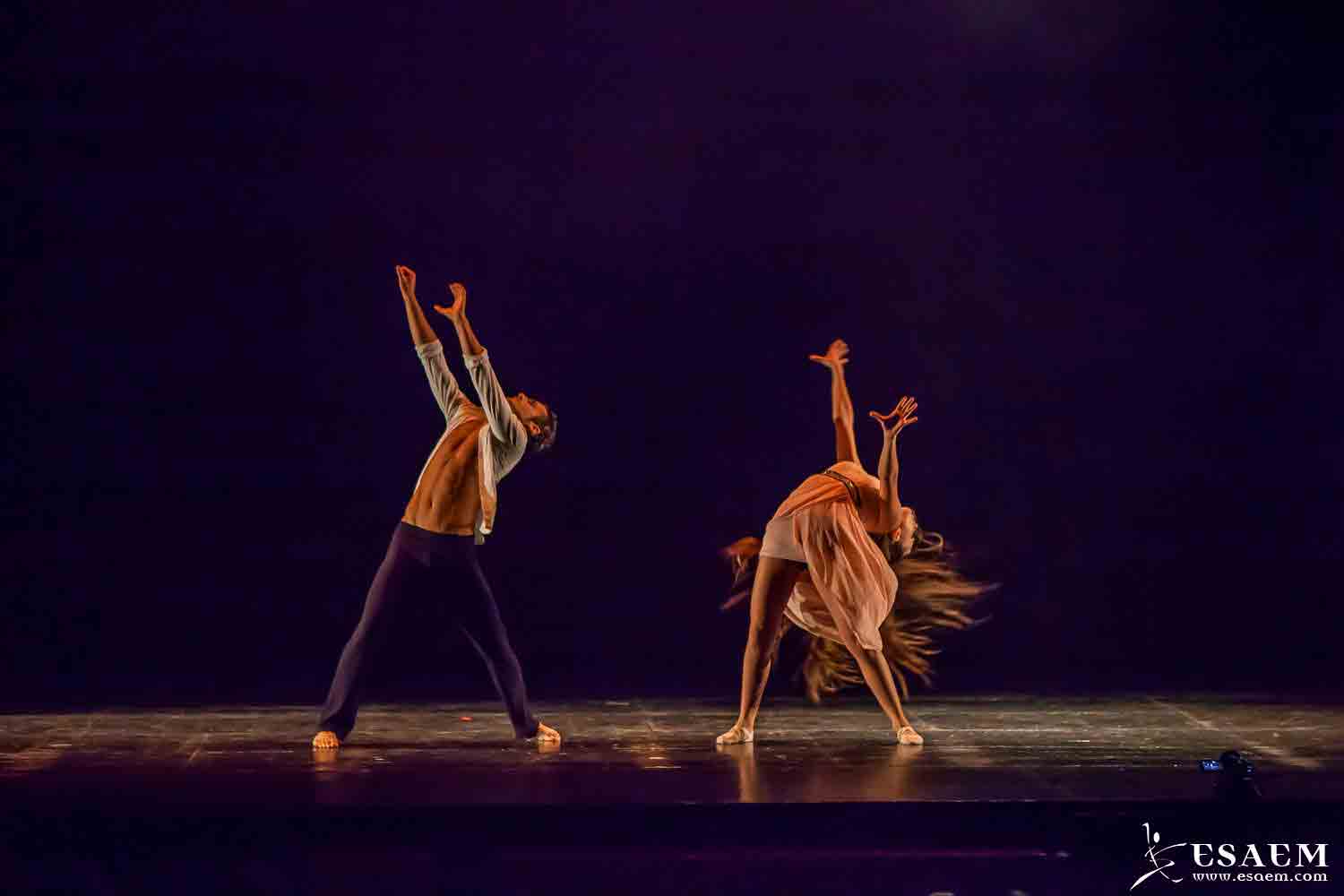 universidad-artes-escenicas